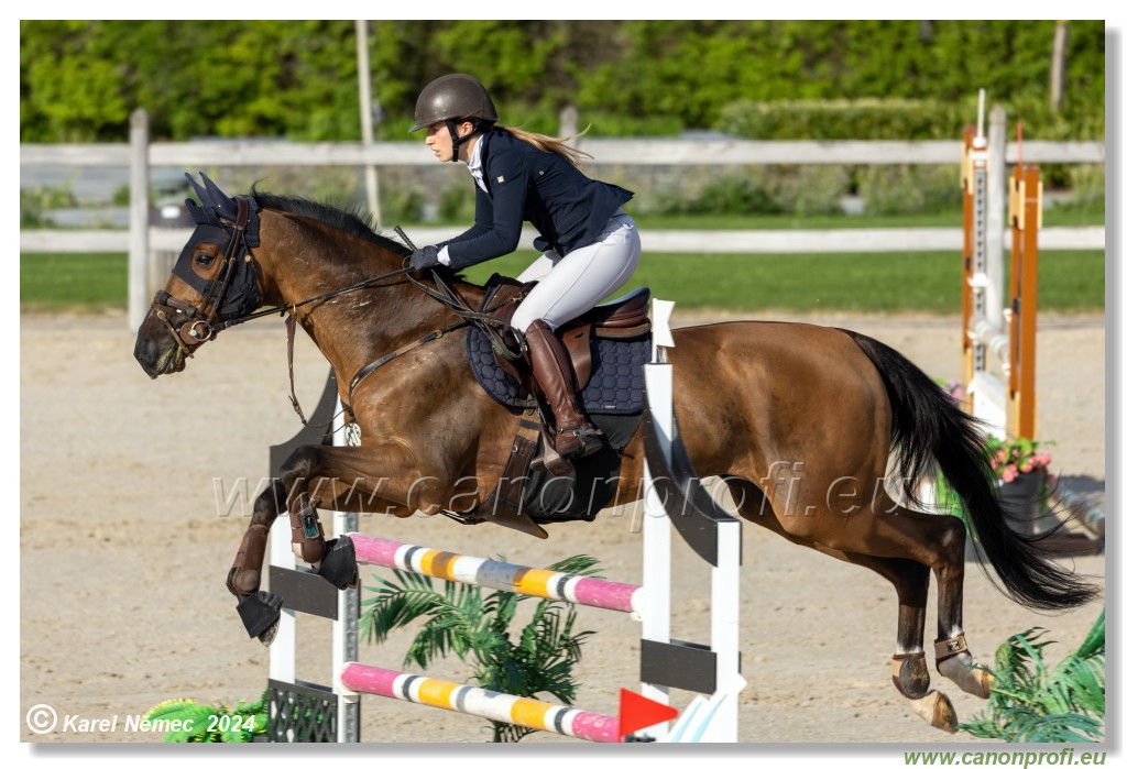 Competition L - 120 cm