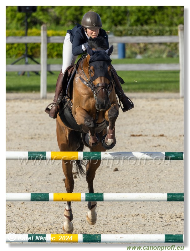 Competition L - 120 cm