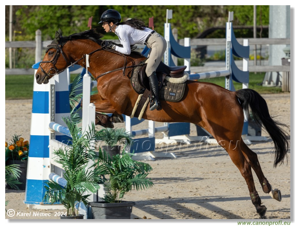 Competition L - 120 cm