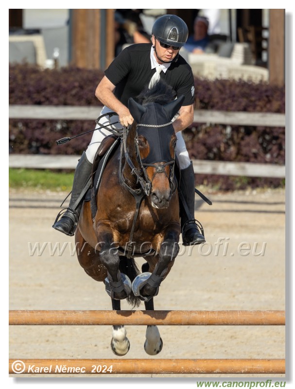 Competition L - 120 cm