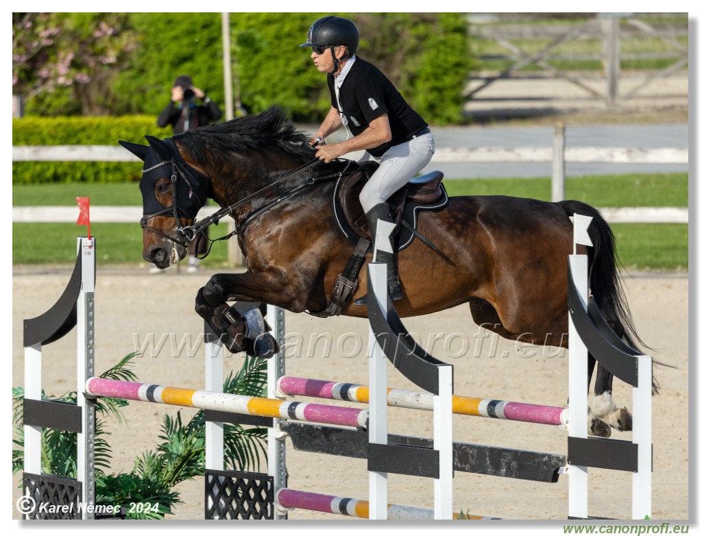 Competition L - 120 cm