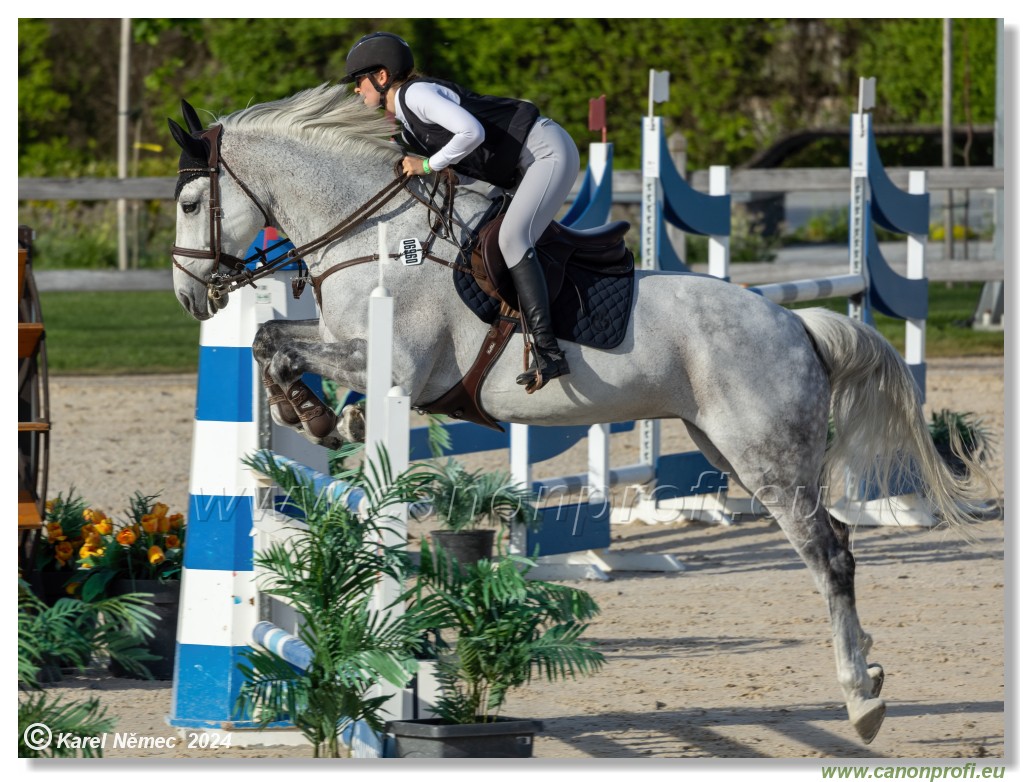 Competition L - 120 cm