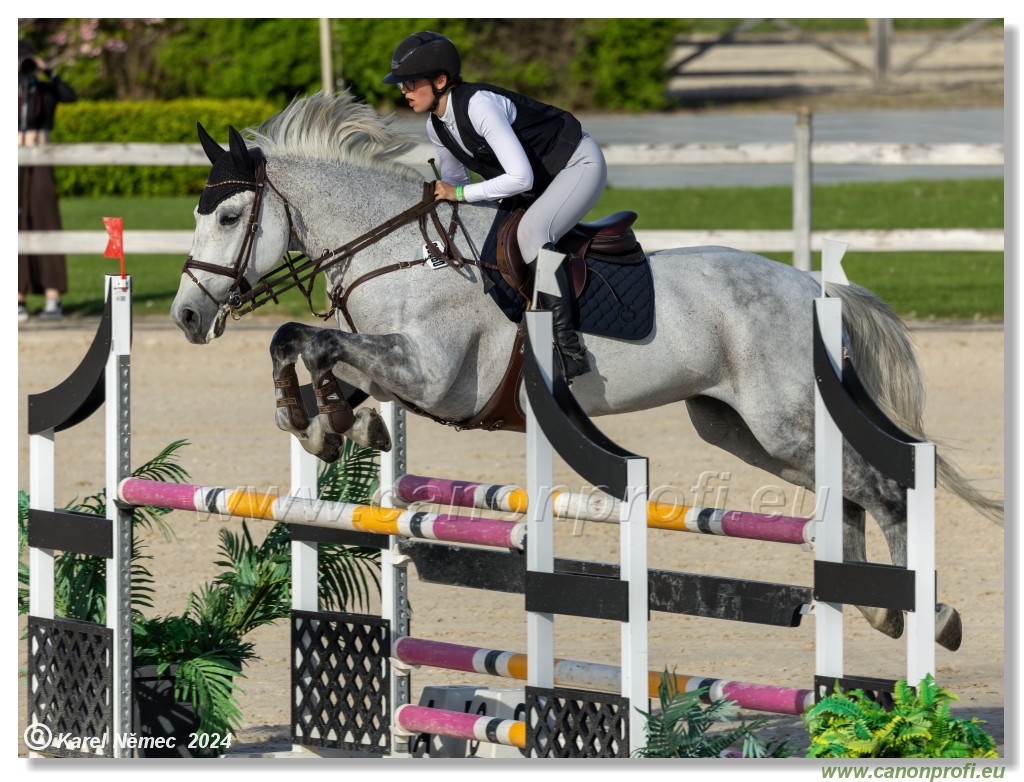 Competition L - 120 cm