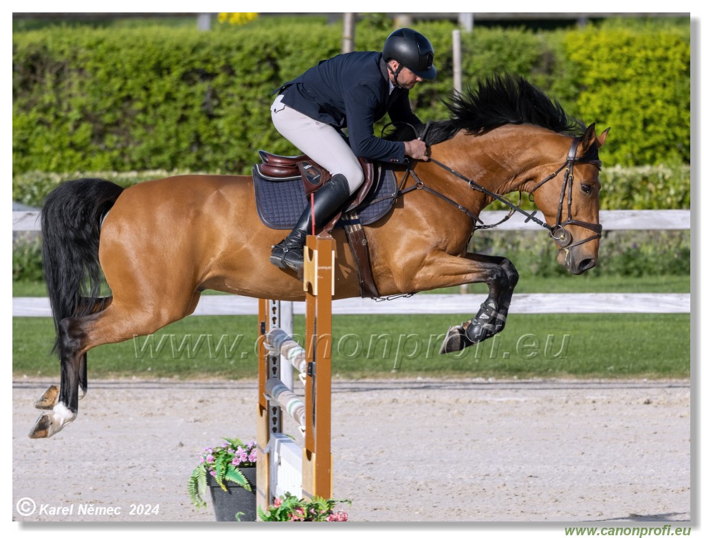 Competition L - 120 cm