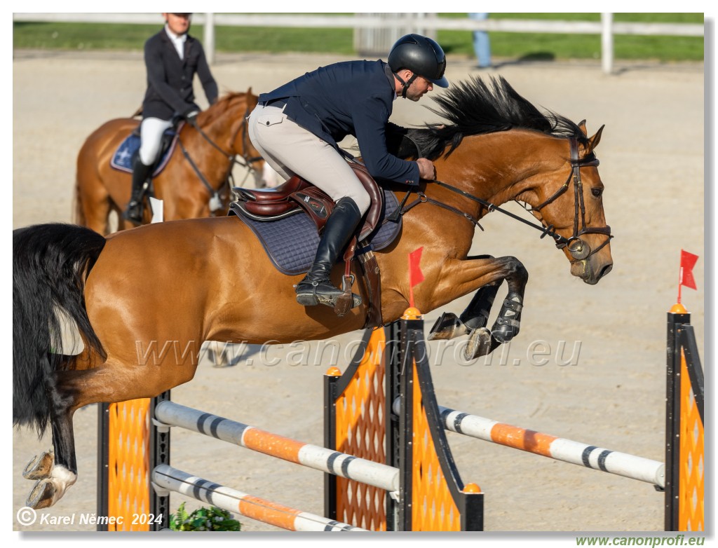 Competition L - 120 cm