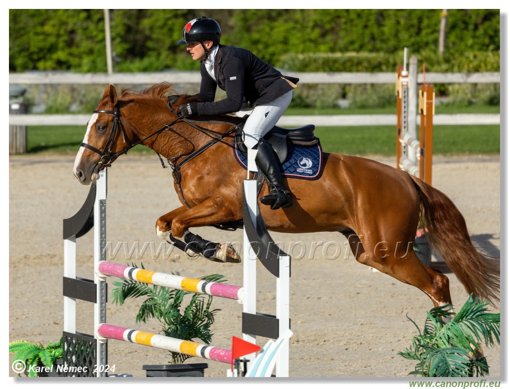 Competition L - 120 cm