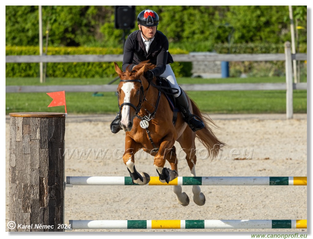 Competition L - 120 cm