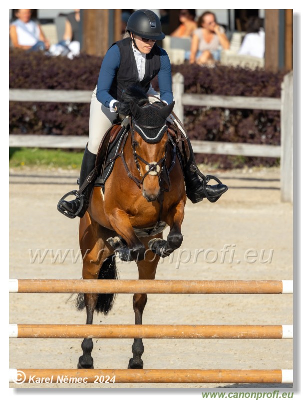 Competition L - 120 cm