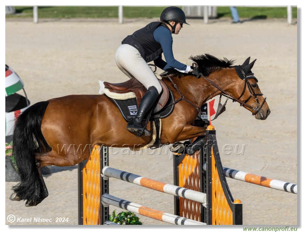 Competition L - 120 cm