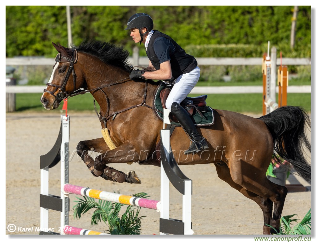 Competition L - 120 cm