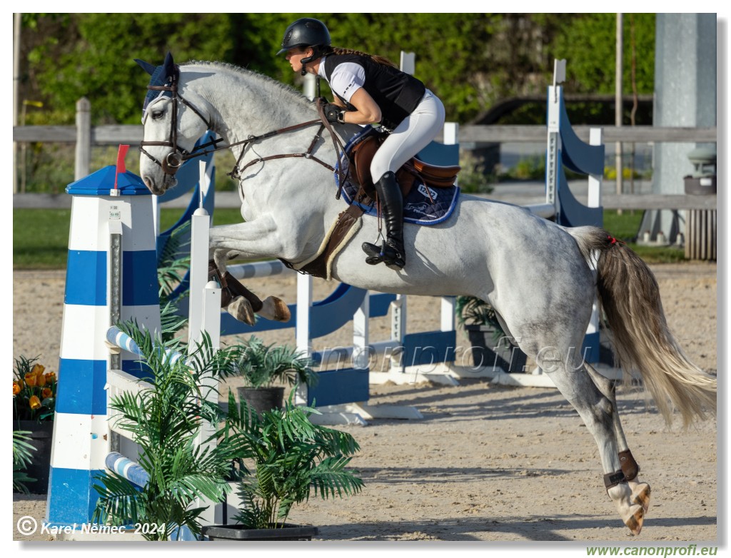 Competition L - 120 cm