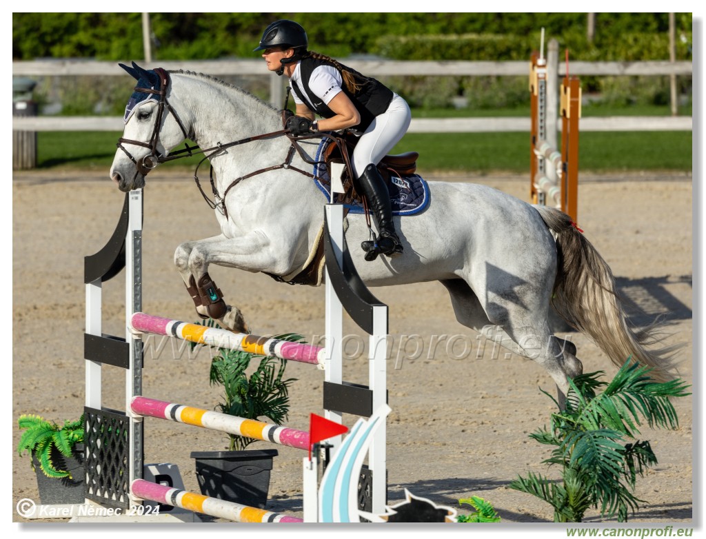 Competition L - 120 cm