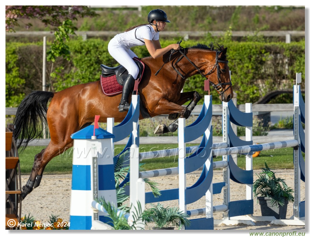 Competition L - 120 cm