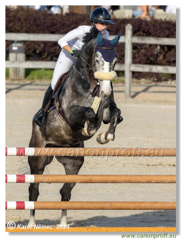 Competition L - 120 cm