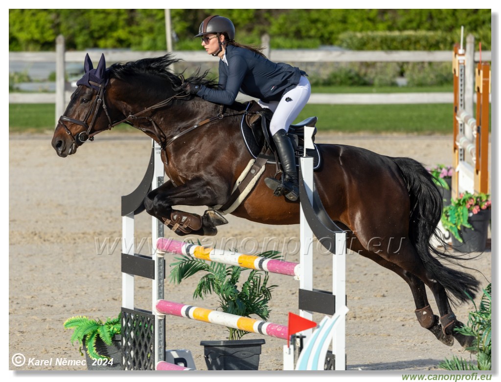 Competition L - 120 cm