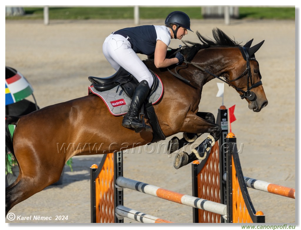 Competition L - 120 cm