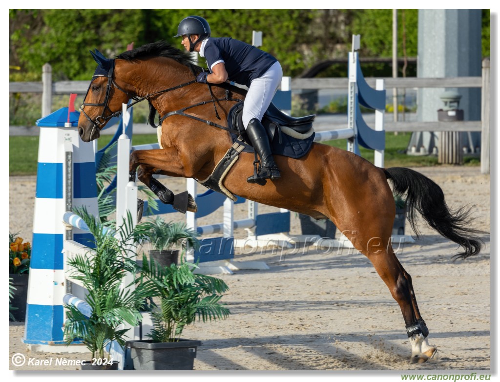 Competition L - 120 cm