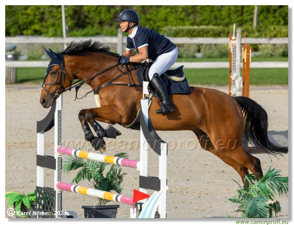 Competition L - 120 cm