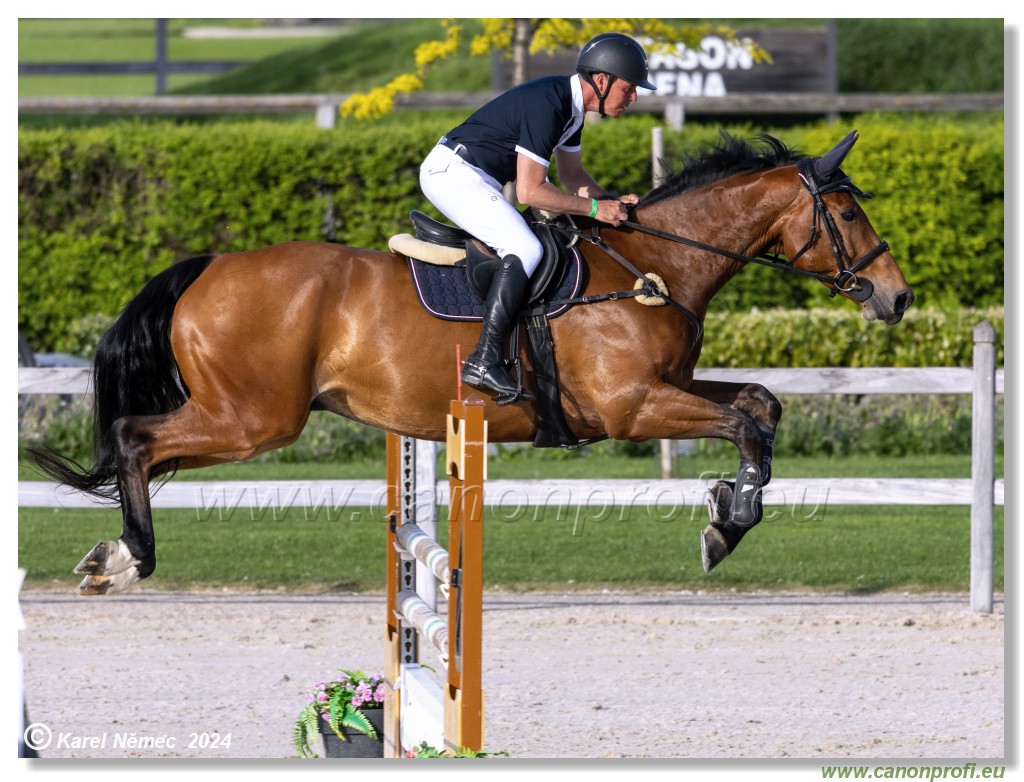 Competition L - 120 cm