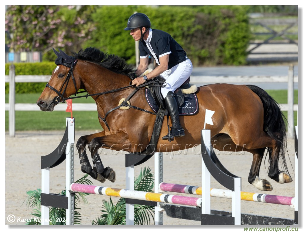 Competition L - 120 cm