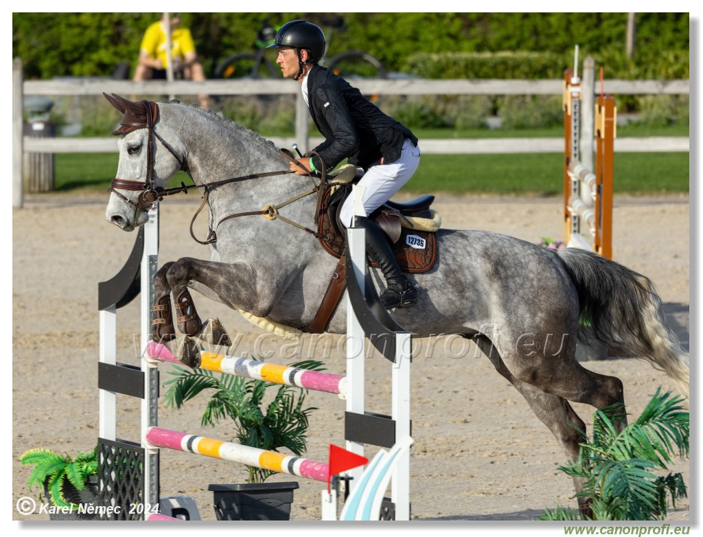 Competition L - 120 cm