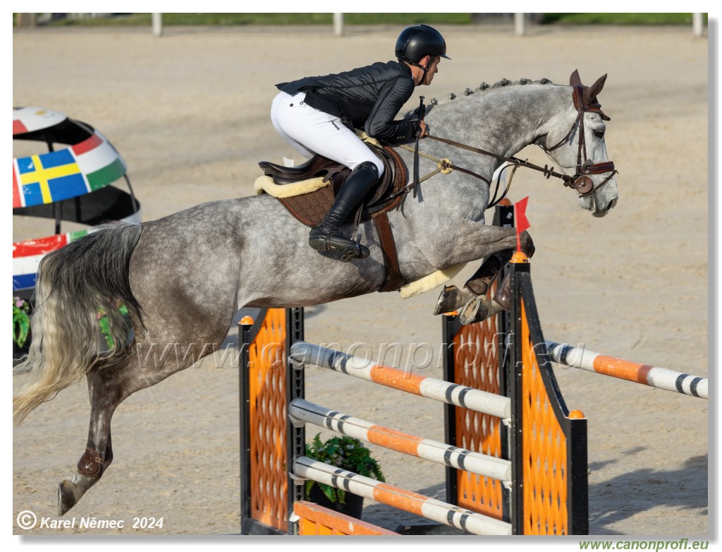 Competition L - 120 cm