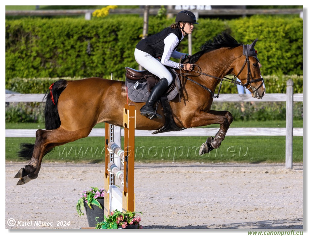 Competition L - 120 cm