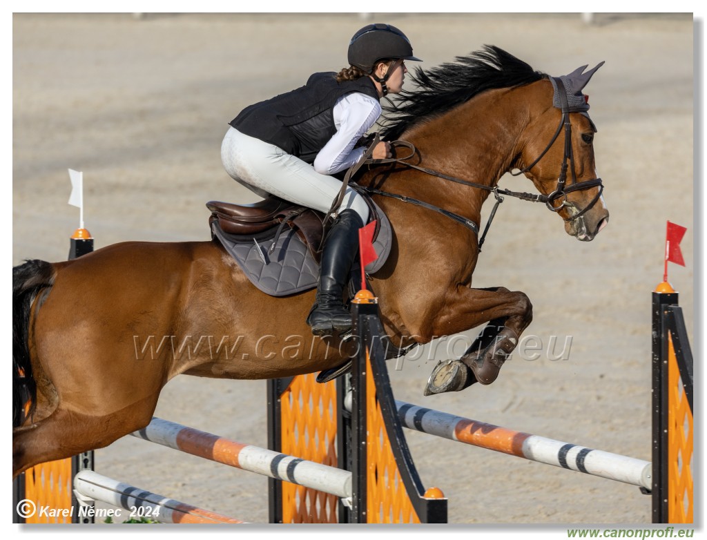 Competition L - 120 cm