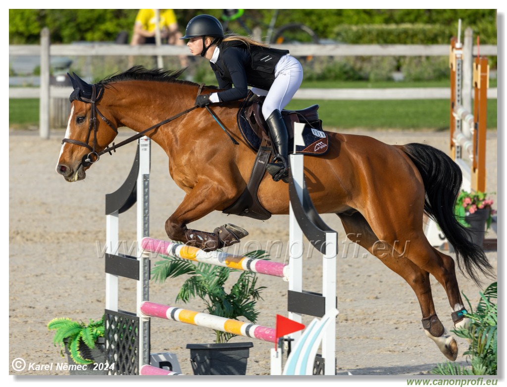 Competition L - 120 cm