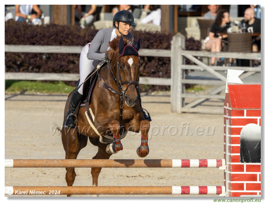 Competition L - 120 cm