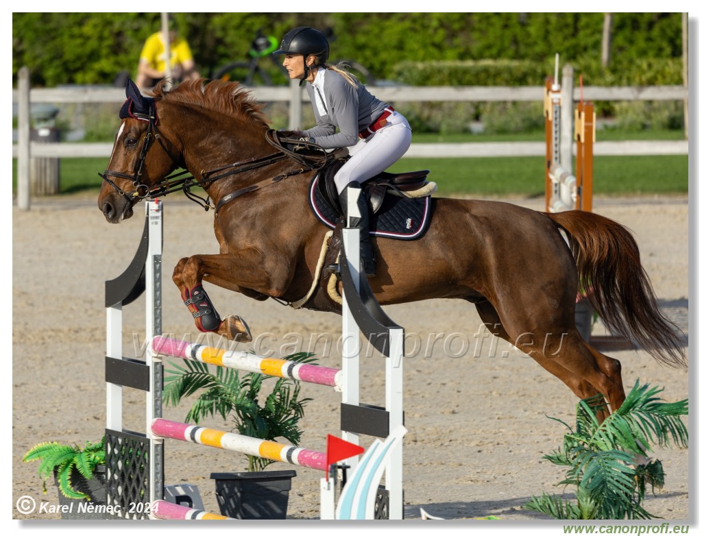 Competition L - 120 cm