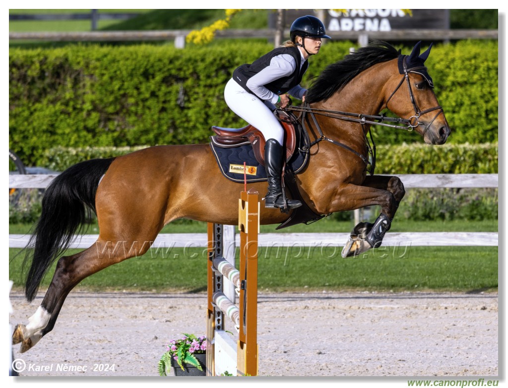 Competition L - 120 cm