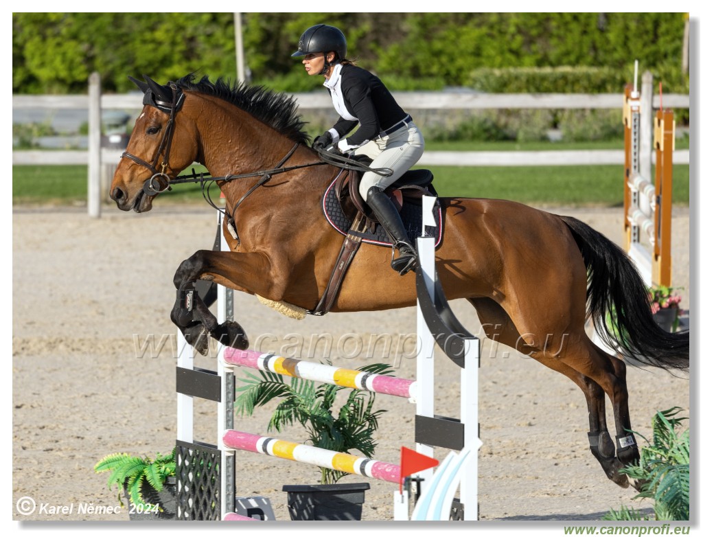 Competition L - 120 cm