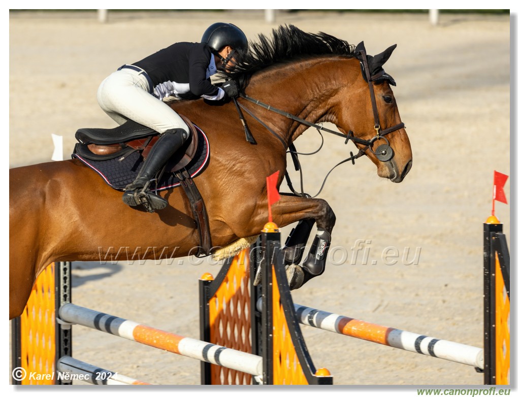 Competition L - 120 cm