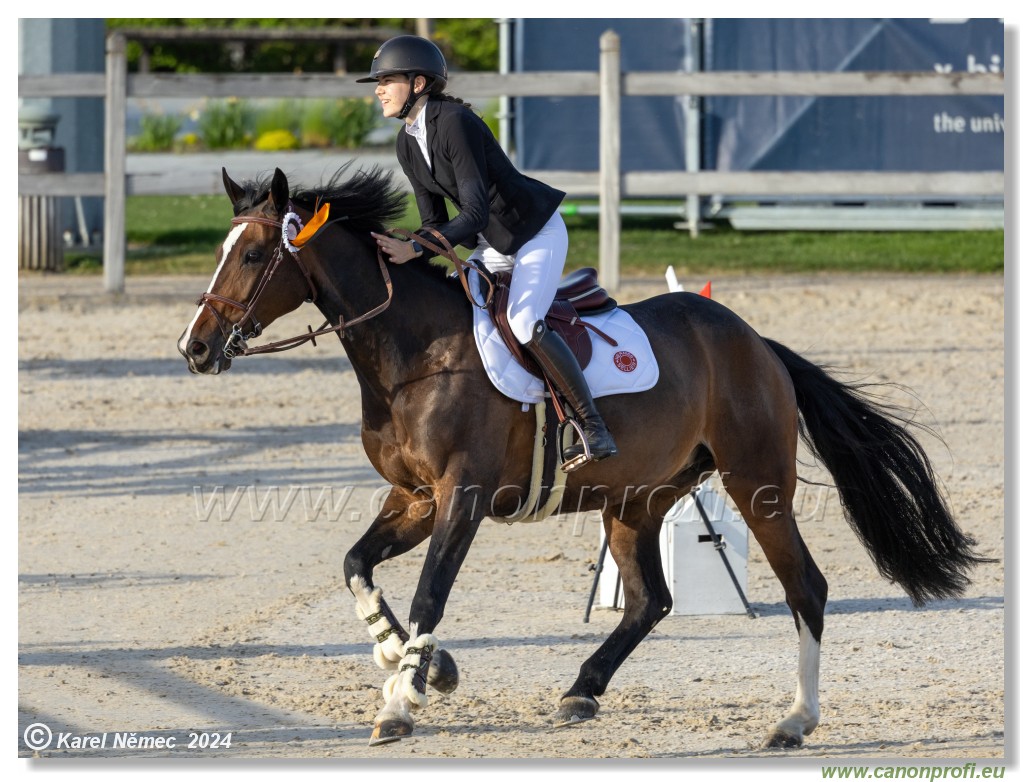 Competition L - 120 cm