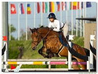 Competition S - 130 cm