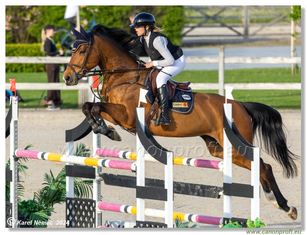 Competition S - 130 cm