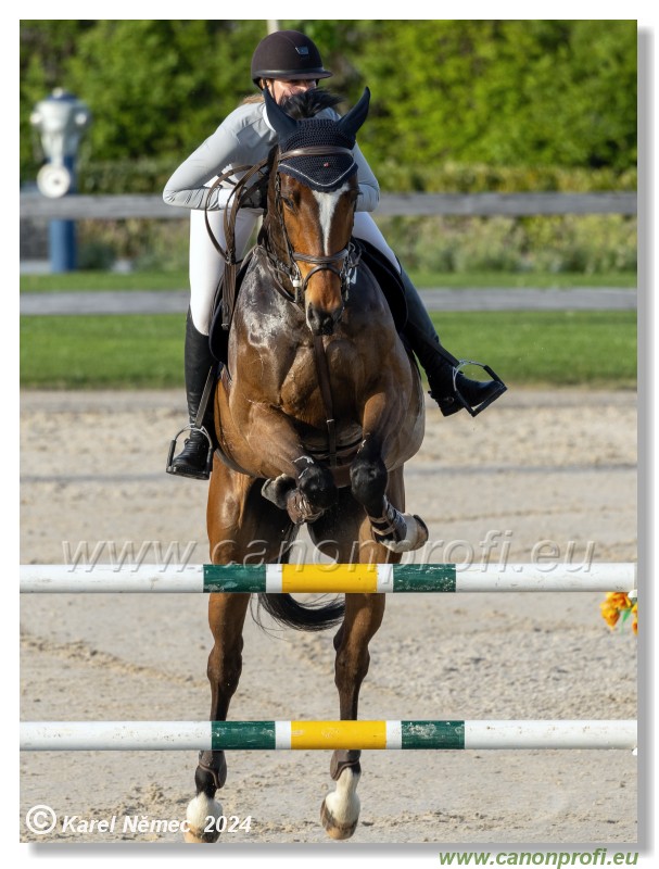 Competition S - 130 cm