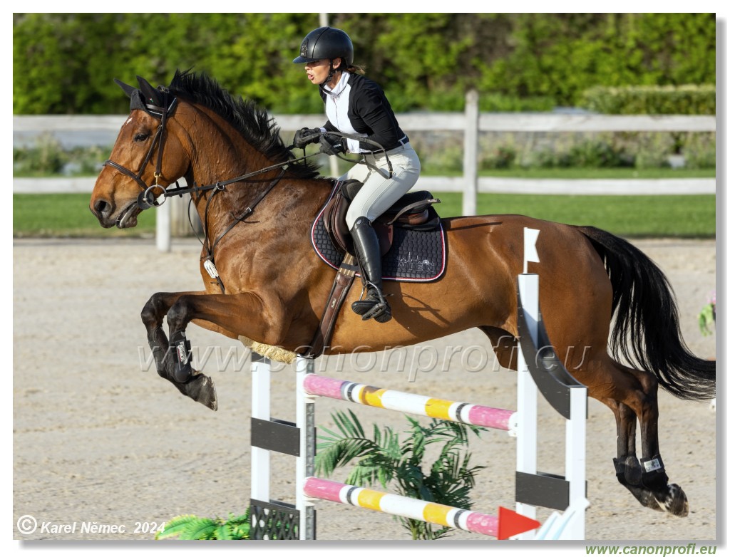 Competition S - 130 cm