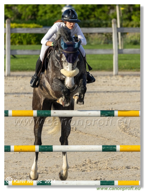 Competition S - 130 cm