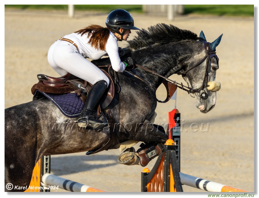 Competition S - 130 cm