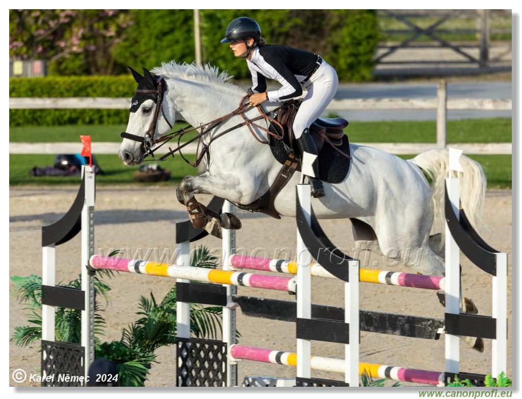 Competition S - 130 cm