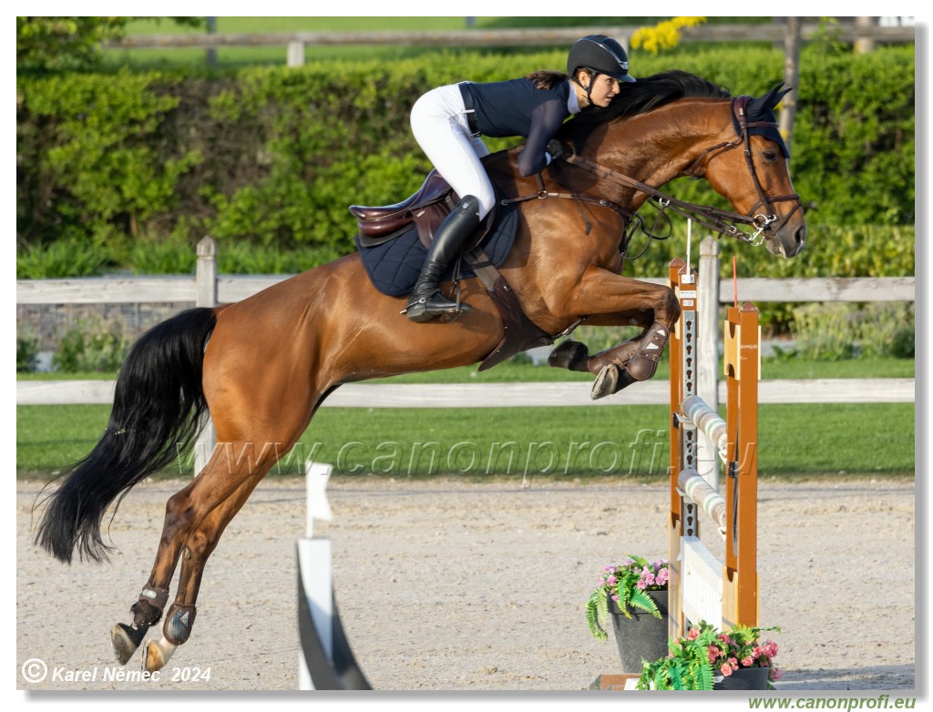 Competition S - 130 cm