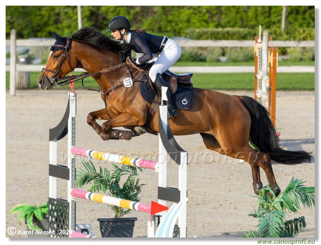 Competition S - 130 cm