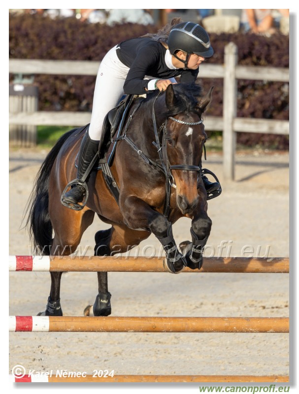 Competition S - 130 cm