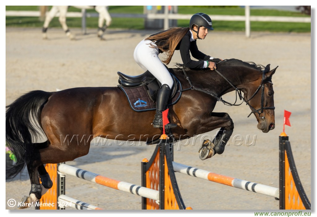 Competition S - 130 cm