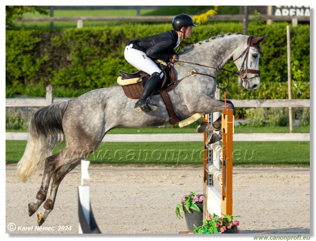 Competition S - 130 cm