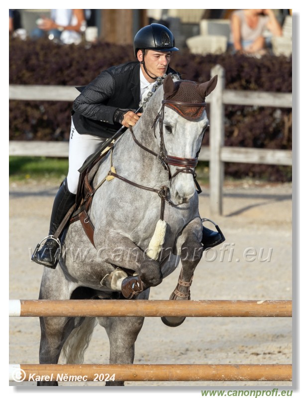 Competition S - 130 cm