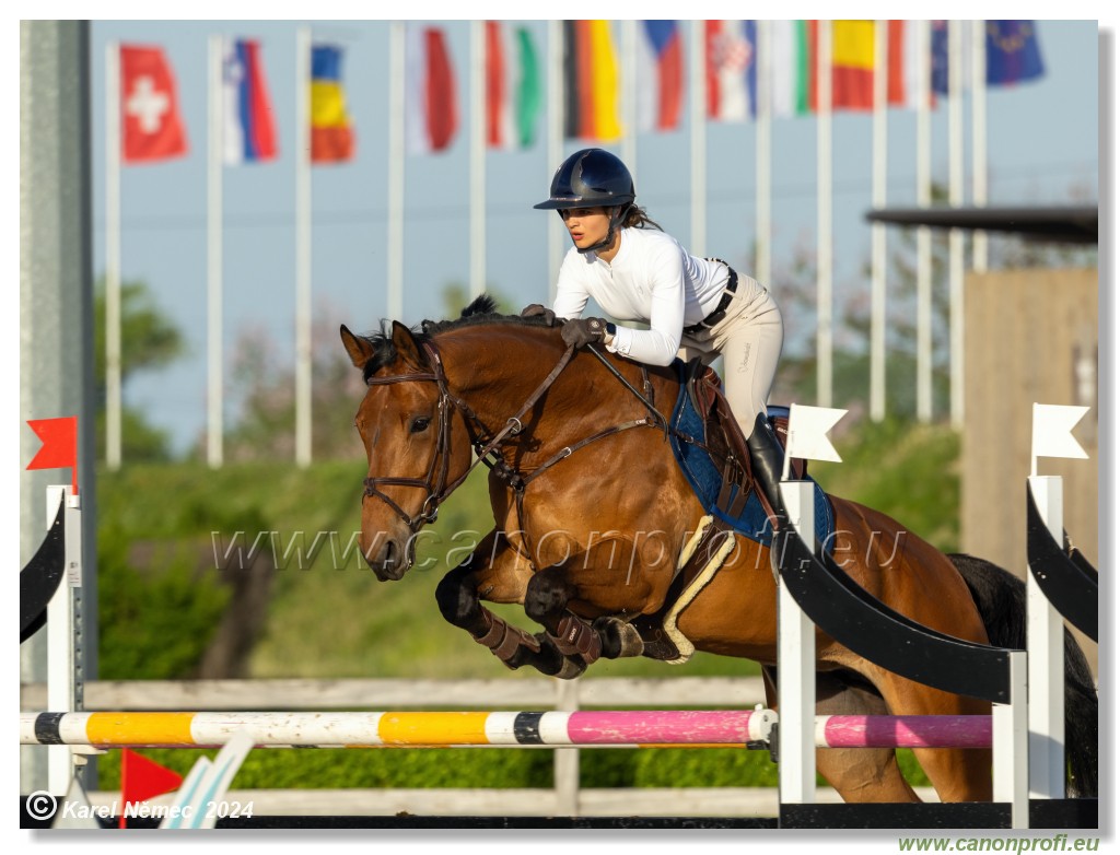 Competition S - 130 cm