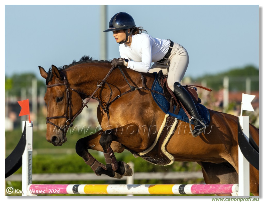 Competition S - 130 cm